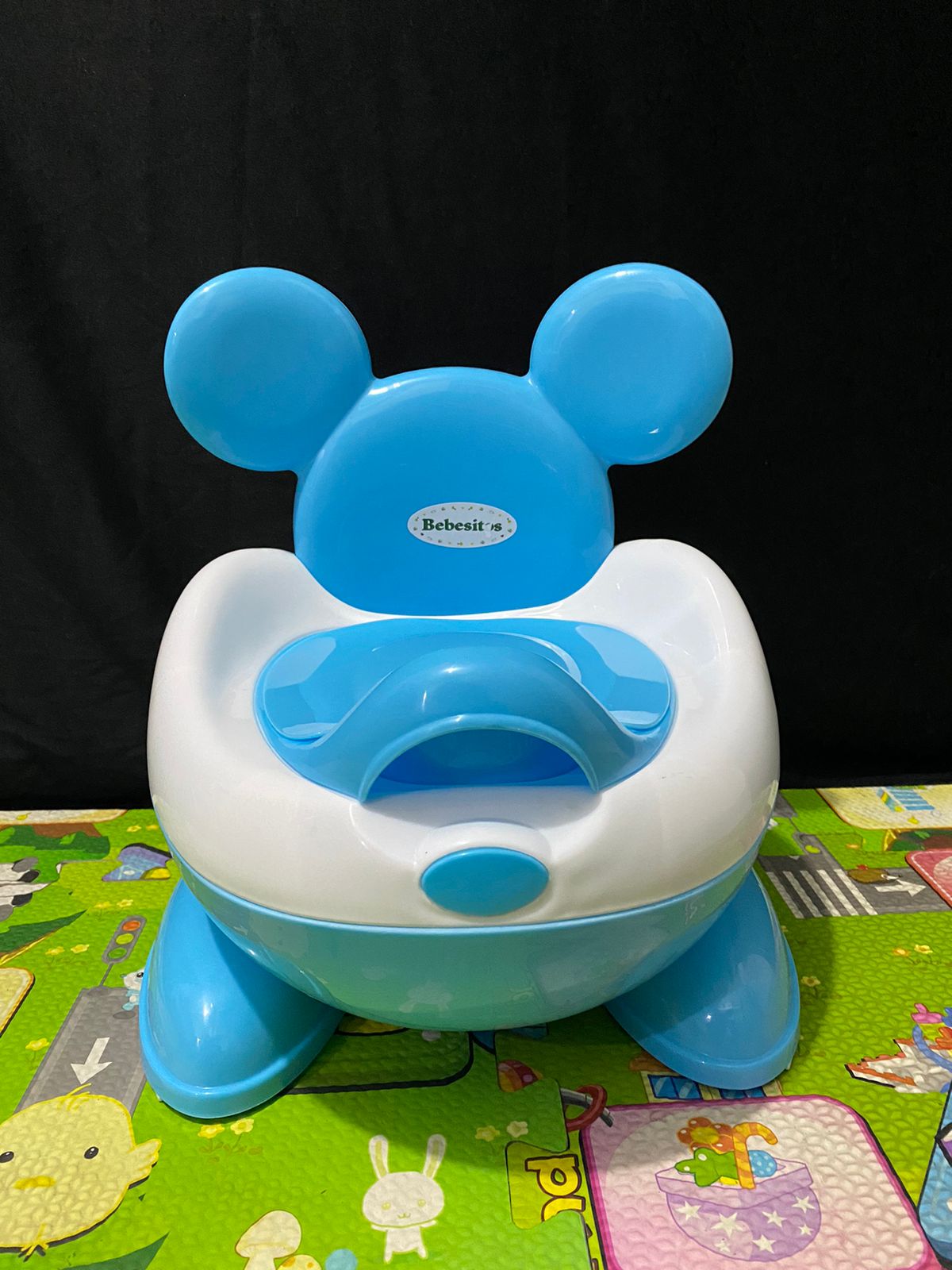 NICA ENTRENADOR MICKY