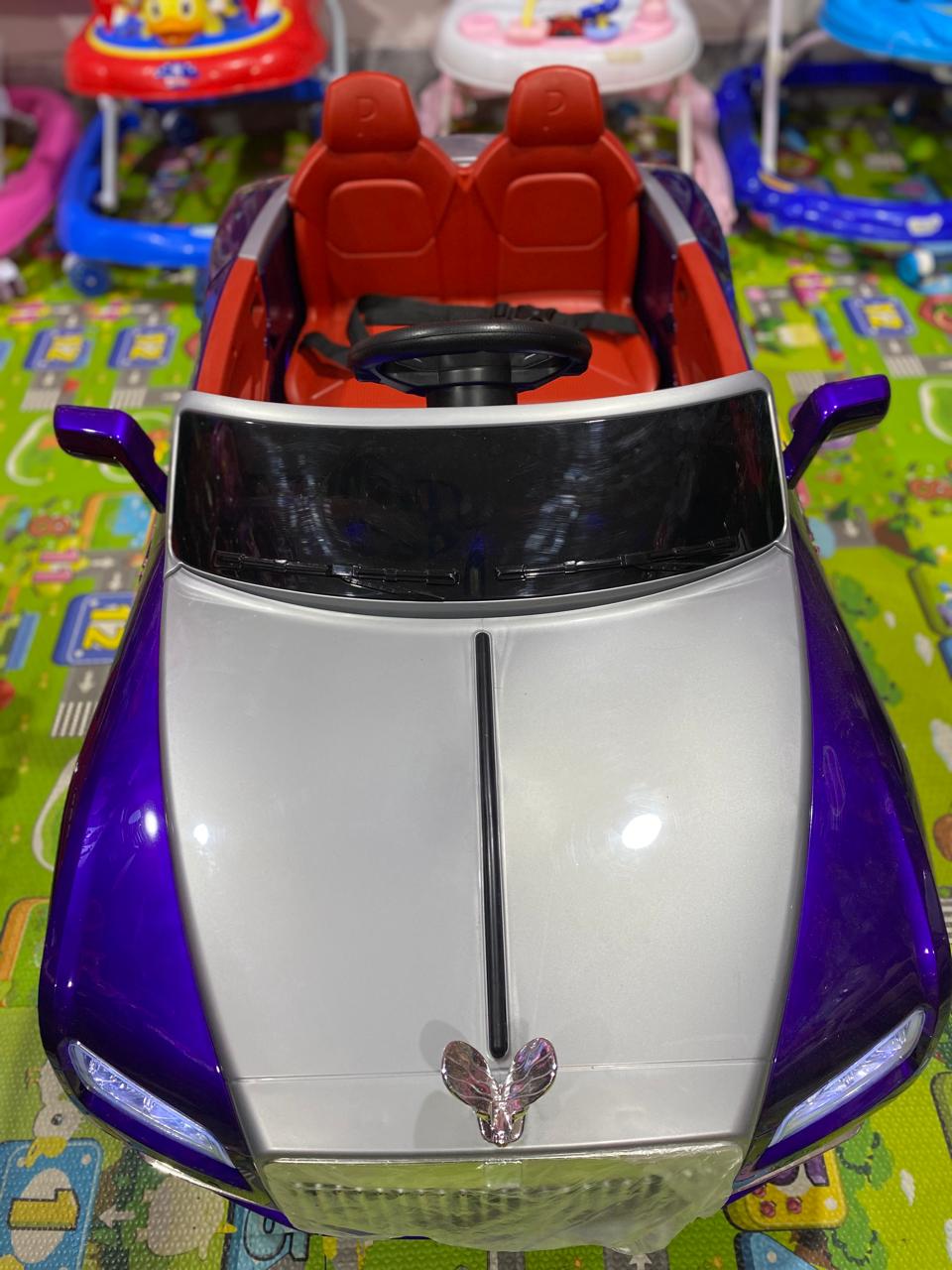 CARRO ELECTRICO